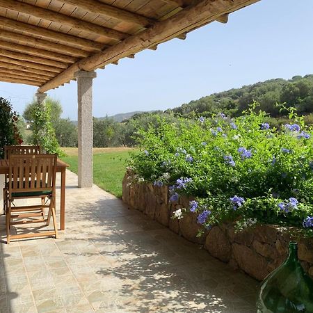 Macciuneddu Country Retreat Golfo Aranci Exterior photo