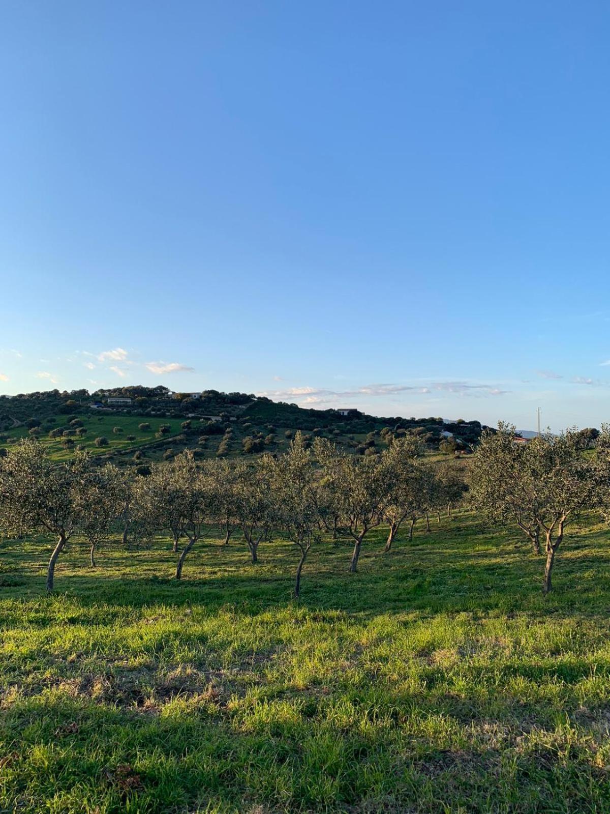 Macciuneddu Country Retreat Golfo Aranci Exterior photo